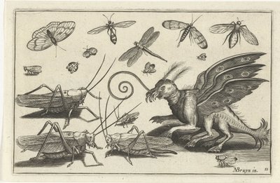 Cavallette e creatura fantastica con ali e membrane (Vogels en insecten) da Anonymous