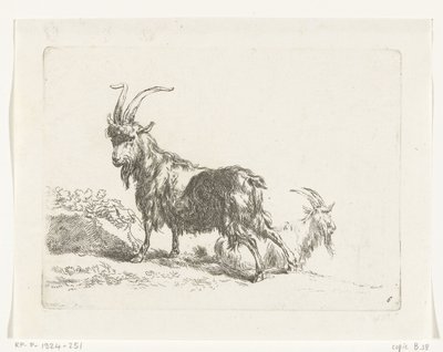 Capra o becco in piedi e sdraiato (Capre e pecore secondo N.P. Berchem) da Anonymous