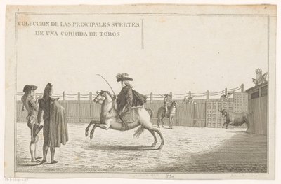 Toreador in un