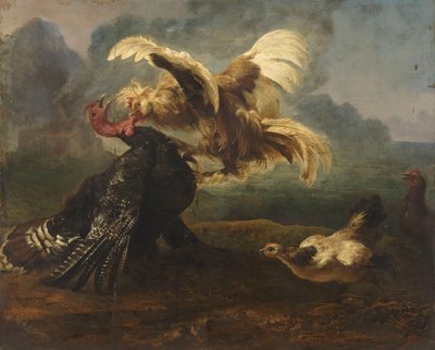 Il gallo fiammingo e il gallo turco da Anonymous