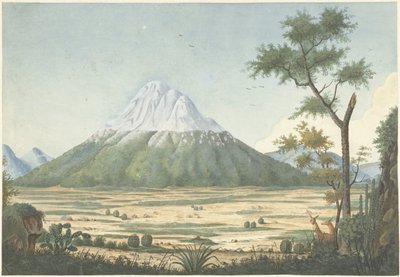 Paesaggio tropicale con montagne da Anonymous