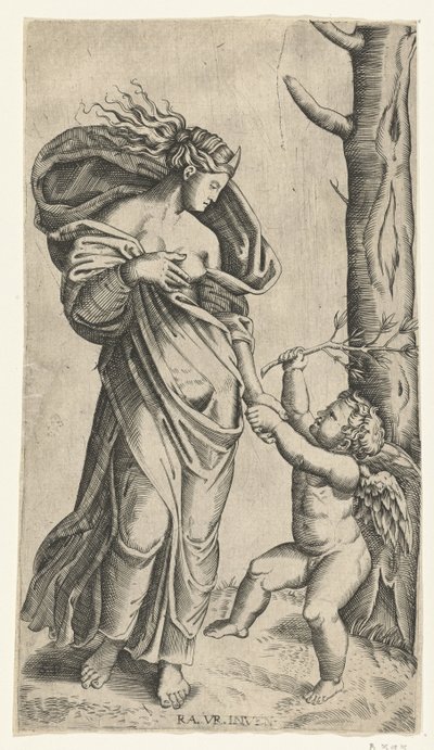 Riconciliazione di Minerva e Cupido da Anonymous