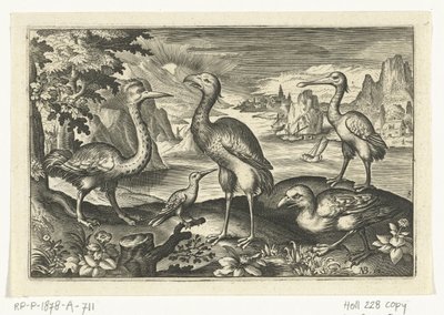 Cinque uccelli tra cui un ibis (Vogels en insecten) da Anonymous