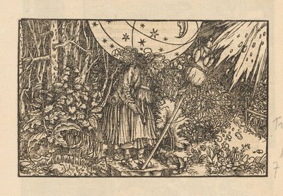 Donna con fuso in una foresta e una volta celeste da Anonymous