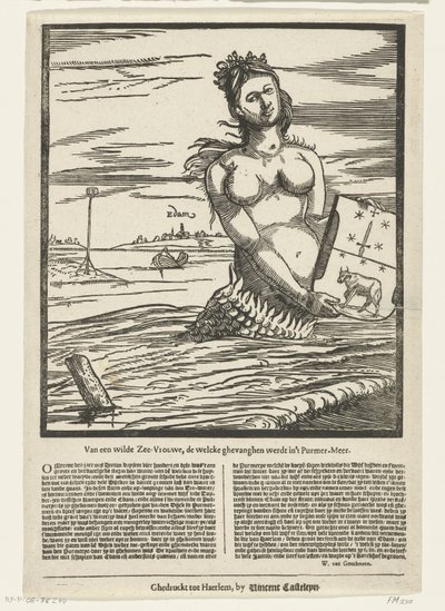 Sirena di Edam, 1403 da Anonymous