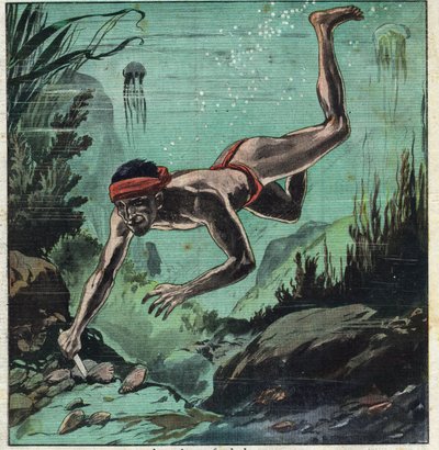 Un ricercatore di perle che rischia la vita nei mari tropicali di Ceylon e della Polinesia per fornire collane e gioielli agli eleganti. Illustrazione tratta da 