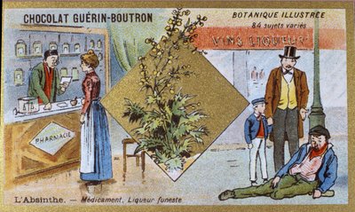 Assenzio: medicina e liquore mortale. Incisione (cromo). Cromolitografia pubblicitaria per i cioccolatini Guerin-Boutron, fine XIX secolo. Serie botanica illustrata. da Anonymous Anonymous
