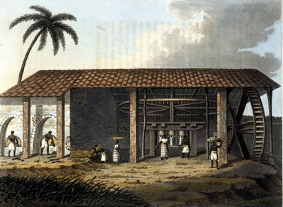 Brasile, fabbrica di zucchero - in 