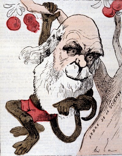 Caricatura di Charles Robert Darwin (1809 - 1882) in "La Lune" da Anonymous Anonymous