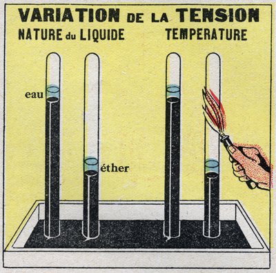 Cambiamenti di stato: vapori. Variazione della tensione a seconda della natura del liquido o della temperatura. Illustrazione anonima del 1925. Collezione privata da Anonymous Anonymous