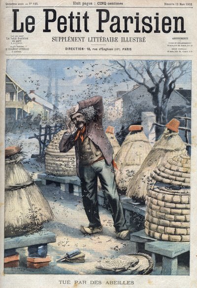Morte di un apicoltore attaccato dalle api mentre estraeva il miele dagli alveari a Quincey vicino a Nuits Saint Georges (Nuits-Saint-Georges) in Cote d