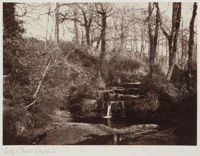 Edge Park, Cheshire, c.1865 da Anonymous Anonymous