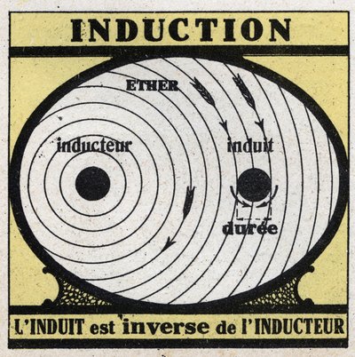 Fenomeni elettrici: induzione. L