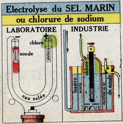 Elettrochimica: elettrolisi del sale marino o cloruro di sodio. Illustrazione anonima del 1925. Collezione privata. da Anonymous Anonymous