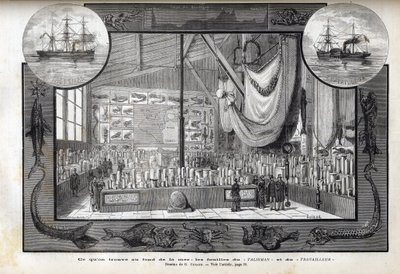 Esposizione al Museo di Storia Naturale di Parigi delle collezioni formate durante le crociere - Spedizioni scientifiche del Travailleur e del Talisman durante gli anni 1880 da Anonymous Anonymous