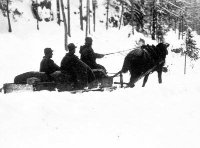 Prima Guerra Mondiale, Fronte del Carso: cacciatori alpini italiani che trasportano cibo su slitte da Anonymous Anonymous