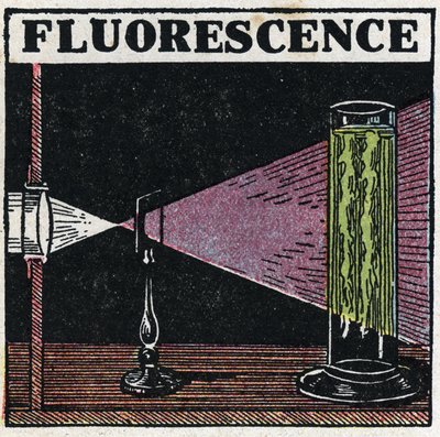 Fluorescenza: prova della fluorescenza dei corpi. Illustrazione anonima del 1925. Collezione privata. da Anonymous Anonymous