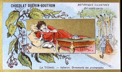 Tiglio: infusione, ornamenti delle passeggiate. Cromolitografia pubblicitaria per i cioccolatini Guerin-Boutron, fine XIX secolo. Serie Botanica Illustrata da Anonymous Anonymous