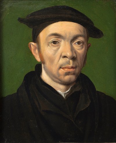 Ritratto maschile, c.1550 da Anonymous Anonymous