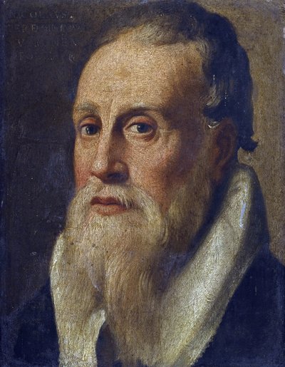 Ritratto del poeta Nicolo da Verona da Anonymous Anonymous