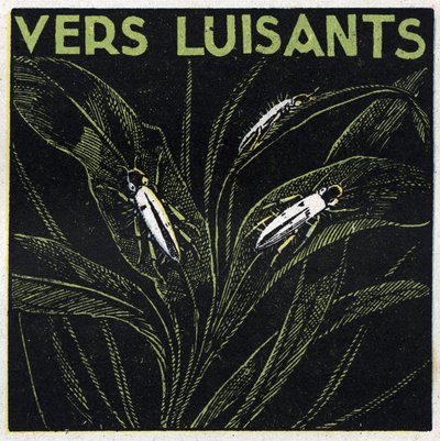 Fosforescenza: verdi luminosi da Anonymous Anonymous