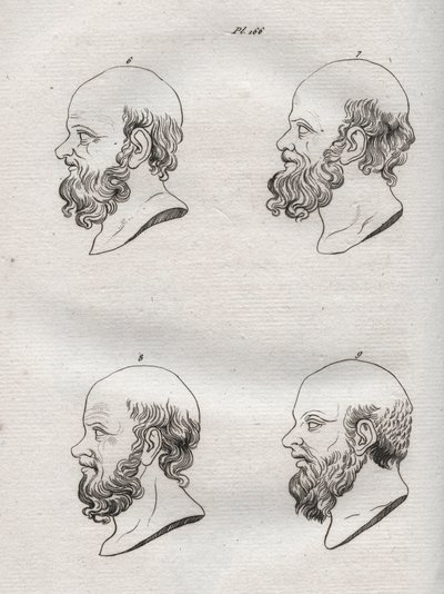 Fisiognomica - Fisiognomonia - Diverse teste del filosofo greco Socrate (ca. 469 a.C.-399 a.C.) - incisione del 1808 in 