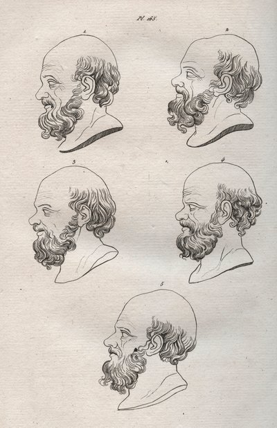 Fisiognomia - Fisiognomonia - Diverse teste del filosofo greco Socrate (ca. 469 a.C.-399 a.C.) (Busto di Socrate (ca 469 a.C.-399 a.C.), filosofo ateniese) incisione del 1808 in "L