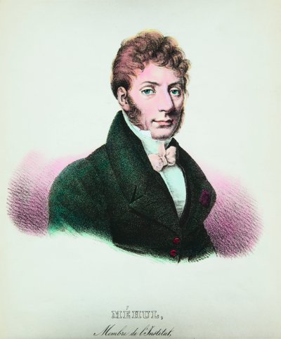 Ritratto di Etienne Nicolas Mehul (1763-1817) compositore, Collezione Privata da Anonymous Anonymous