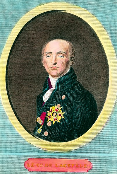 Ritratto di Etienne de La Ville, Conte De Lacepede, naturalista francese. Incisione anonima da Anonymous Anonymous