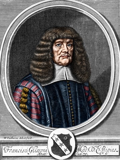 Ritratto di Francis Glisson (1599-1677), medico e anatomista britannico. da Anonymous Anonymous