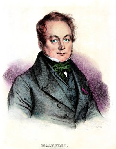 Ritratto di Francois Magendie (1783-1855) medico e fisiologo, Collezione privata da Anonymous Anonymous