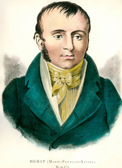 Ritratto di Francois Xavier Bichat (1771-1802), medico francese. Incisione del 19° secolo. Collezione privata da Anonymous Anonymous