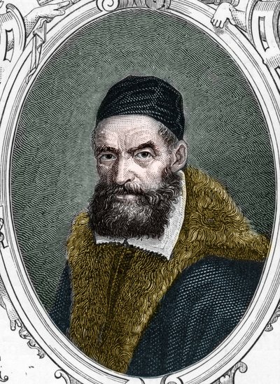 Ritratto di Jacopo Palma il Vecchio da Anonymous Anonymous