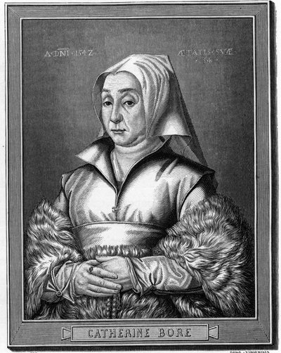 Ritratto di Katharina von Bora da Anonymous Anonymous