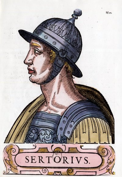 Ritratto di Quinto Sertorio (123-72 a.C.), generale romano. Incisione. Collezione privata da Anonymous Anonymous