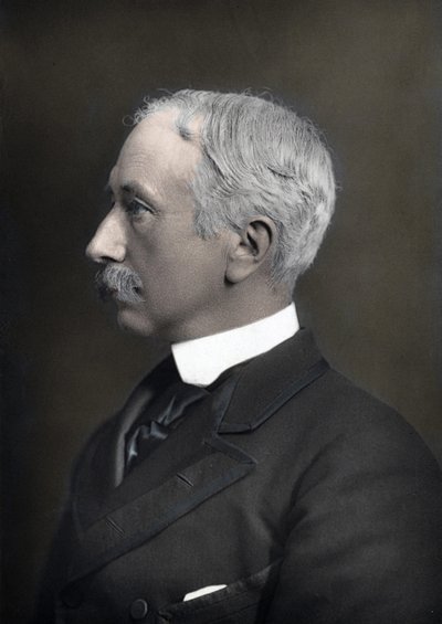 Ritratto del Maresciallo Visconte Garnet Joseph Wolseley (1833-1913), Comandante in Capo dell