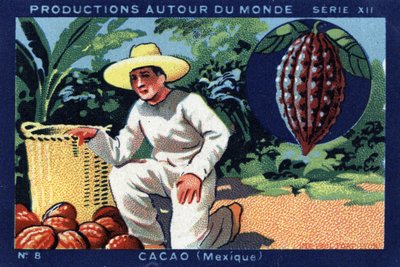 Produzioni nel mondo: Cacao in Messico. Cromolitografia del 1933 in “Joseph-Milliat Album” da Anonymous Anonymous