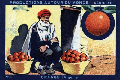 Produzioni nel mondo: arancia in Algeria. Cromolitografia del 1933 in "Album Joseph-Milliat" da Anonymous Anonymous