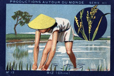 Produzioni nel mondo: Riso in Cina. 1933 Cromolitografia in "Joseph-Milliat Album" da Anonymous Anonymous