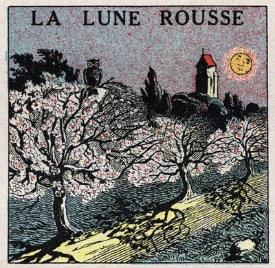 Radiazione e conducibilità: la luna rossa la cui luce brucia i germogli dei fiori. Illustrazione anonima del 1925. Collezione privata. da Anonymous Anonymous