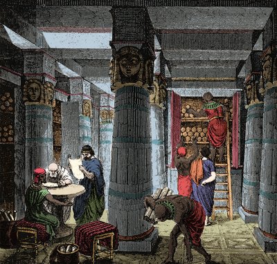 La Biblioteca di Alessandria - Veduta dell