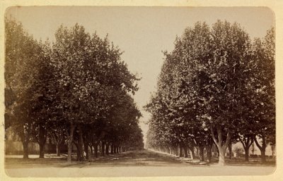 La città di Marsiglia e dintorni intorno al 1885-1890: il Prado, Collezione privata da Anonymous Anonymous