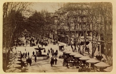La città di Marsiglia e i suoi dintorni circa 1885-1890: La Passeggiata dei Fiori, Corsi Saint Louis, Collezione privata da Anonymous Anonymous