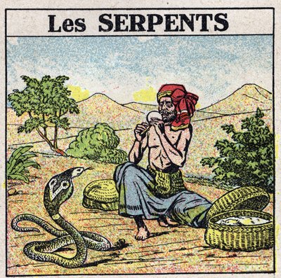Gli effetti della musica: un incantatore di serpenti. Illustrazione anonima del 1925. Collezione privata. da Anonymous Anonymous