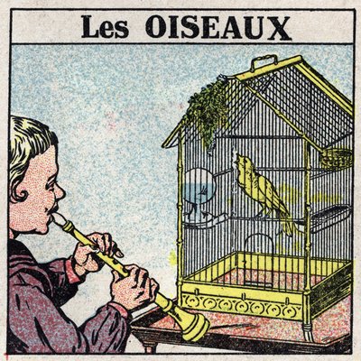 Gli effetti della musica: il suono di un flauto fa cantare un uccello in una gabbia. Illustrazione anonima del 1925. Collezione privata da Anonymous Anonymous