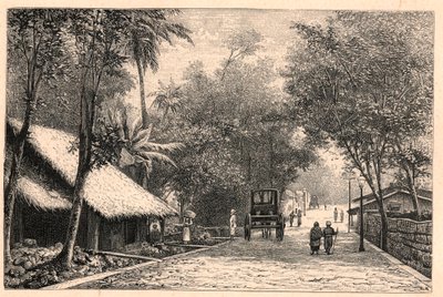 Veduta di una strada di Colombo a Ceylon (Sri Lanka). Incisione in 