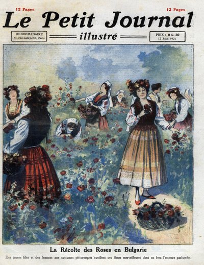 Giovani donne in costume tradizionale bulgaro raccolgono rose per la produzione di acqua di rose. Illustrazione tratta da "Le petit journal illustré" del 12/06/1921. Collezione privata da Anonymous Anonymous