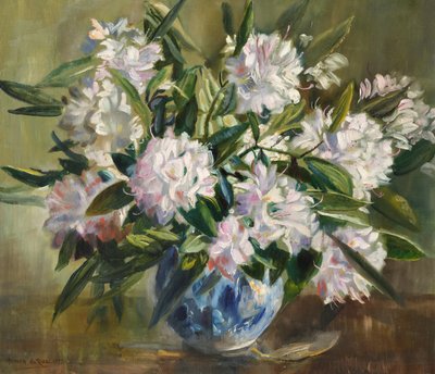 Rhododendron, bianco pallido e rosa da Anthea Durose