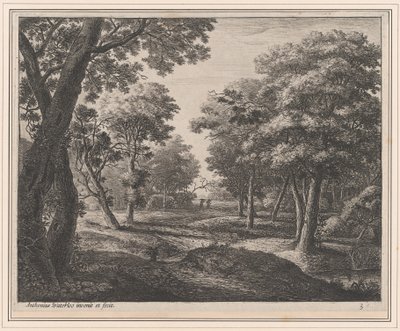 Un sentiero nel bosco, XVII secolo da Anthonie Waterloo