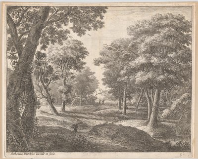 Un sentiero nel bosco da Anthonie Waterloo